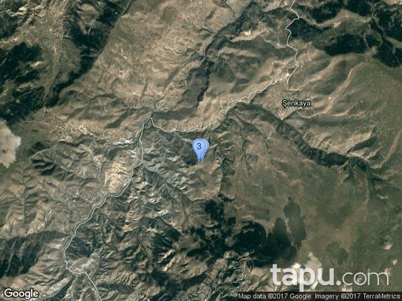 Erzurum Şenkaya Gezenek'de Tarla