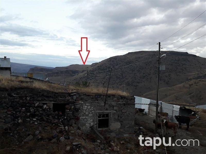 Erzurum Şenkaya Gezenek'de Tarla