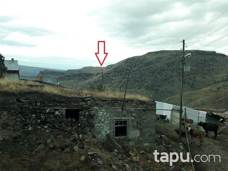 Erzurum Şenkaya Gezenek'de Tarla