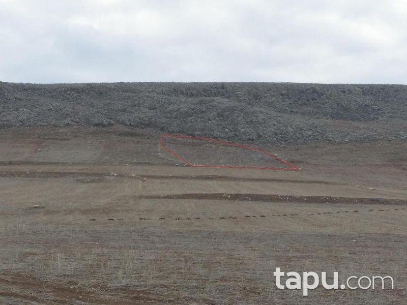 Isparta Gelendost Madenli Köyünde 4.150 m2 Tarla