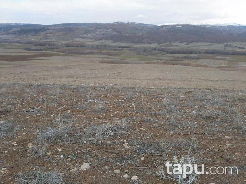 Isparta Gelendost Madenli Köyünde 4.150 m2 Tarla