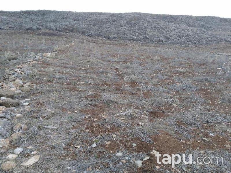 Isparta Gelendost Madenli Köyünde 4.150 m2 Tarla