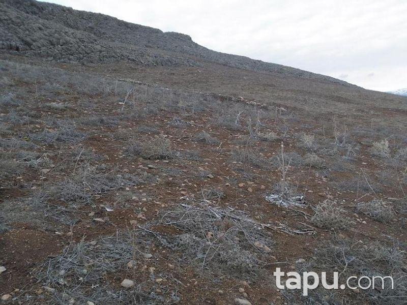 Isparta Gelendost Madenli Köyünde 4.150 m2 Tarla