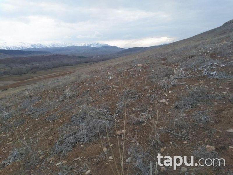 Isparta Gelendost Madenli Köyünde 4.150 m2 Tarla