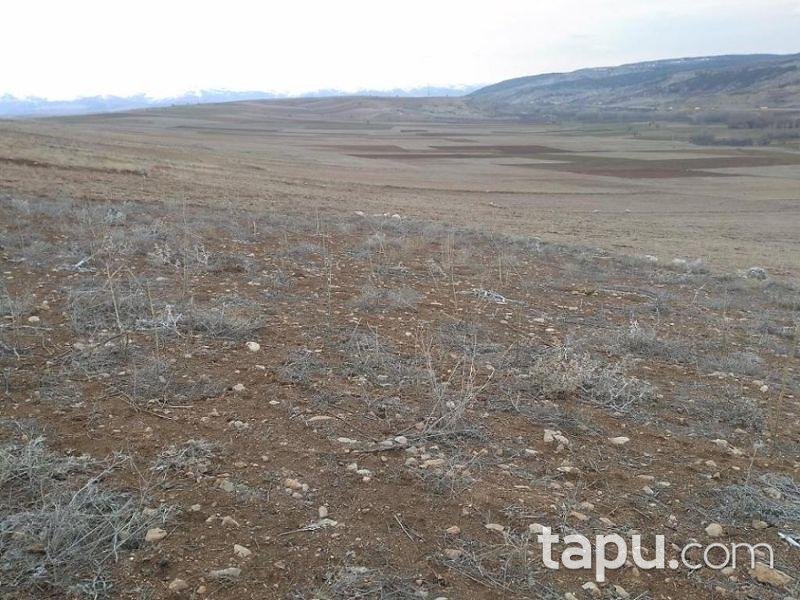Isparta Gelendost Madenli Köyünde 4.150 m2 Tarla