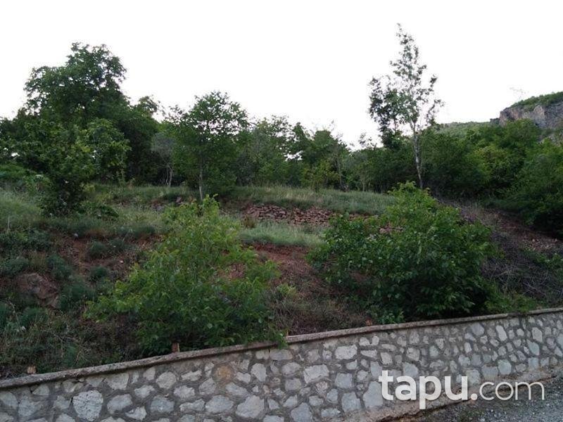 Artvin Merkez Salkımlı Köyünde 1156 M2 Bahçe