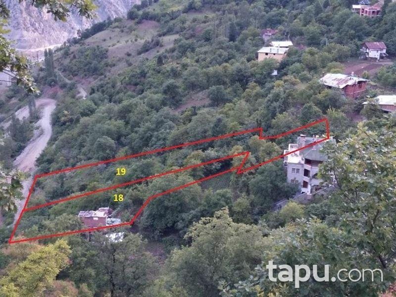 Artvin Merkez Salkımlı Köyünde 1156 M2 Bahçe