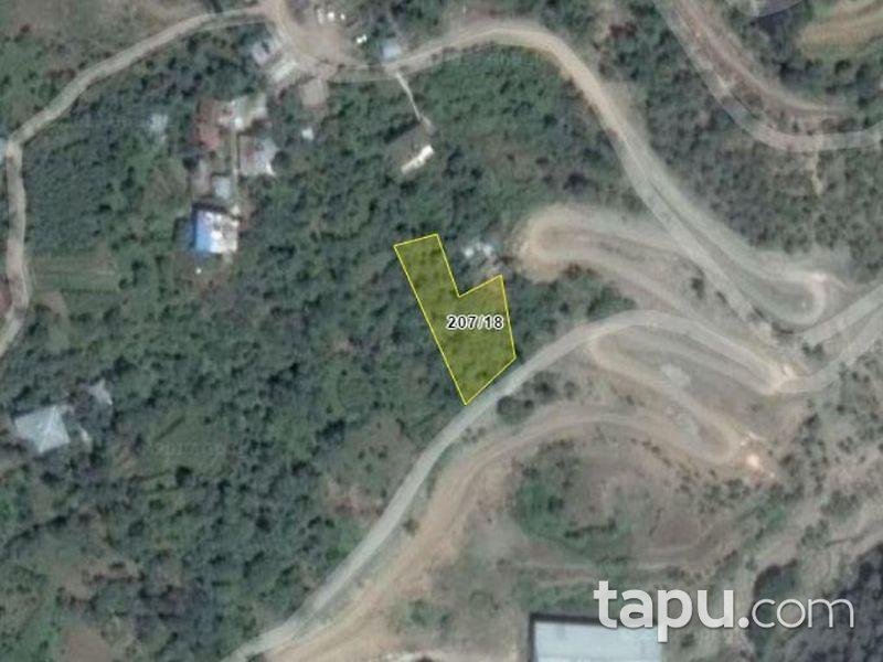 Artvin Merkez Salkımlı Köyünde 1156 M2 Bahçe