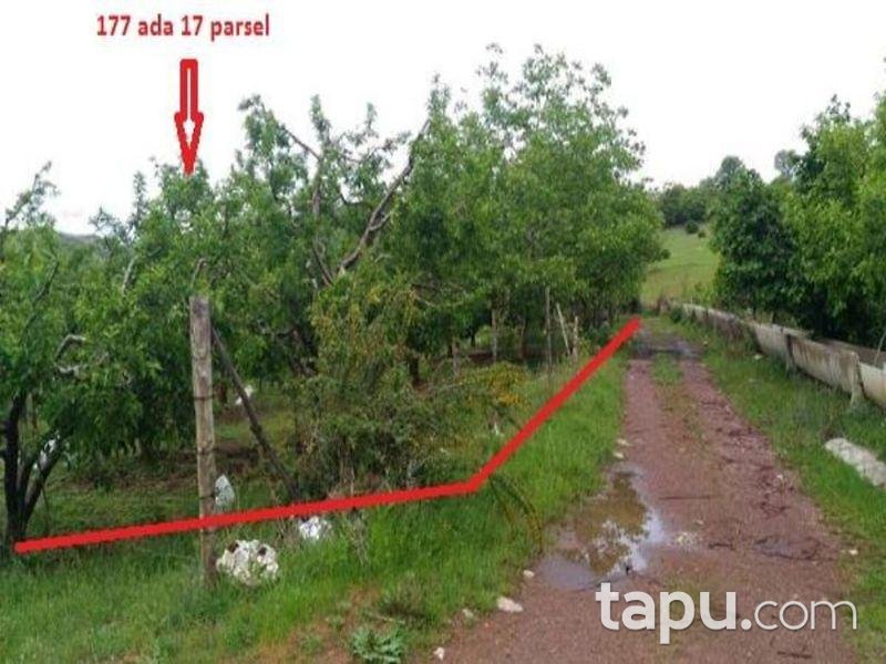 Isparta Aksu Sofular Köyünde 3360 M2 Elma Bahçesi