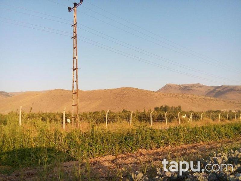 Kayseri Develi Zile Mahallesinde 6720 m2 Tarla