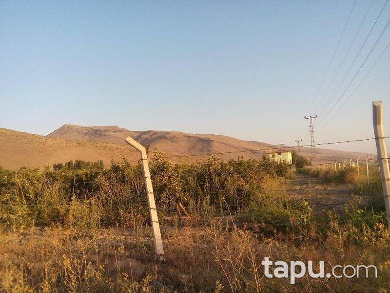 Kayseri Develi Zile Mahallesinde 6720 m2 Tarla