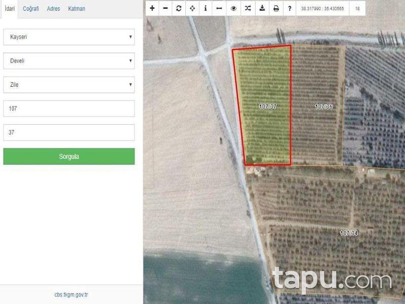 Kayseri Develi Zile Mahallesinde 6720 m2 Tarla