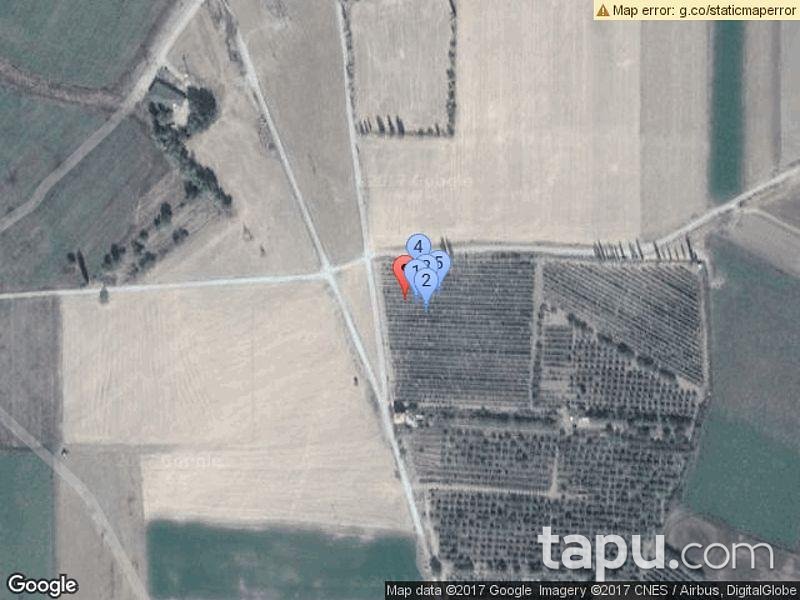 Kayseri Develi Zile Mahallesinde 6720 m2 Tarla