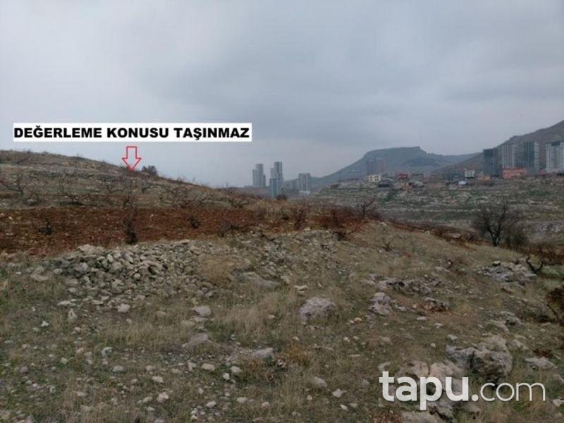 Mardin Artuklu' da 1183 m2 Arsa