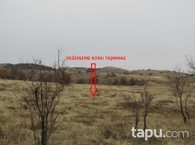 Elazığ Maden Yoncapınar Köyünde 3244 m2 Tarla
