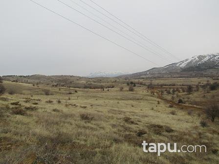 Elazığ Maden Yoncapınar Köyünde 3244 m2 Tarla