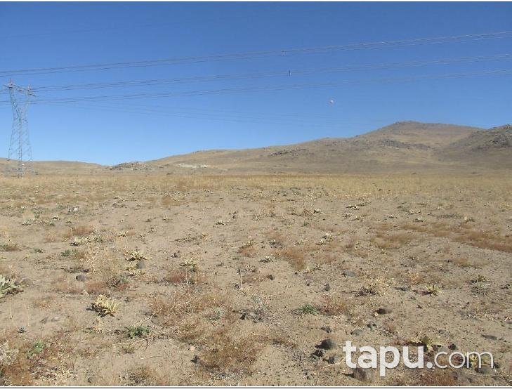 Niğde Merkez Edikli Köyüne 10.000 m2 Tarla
