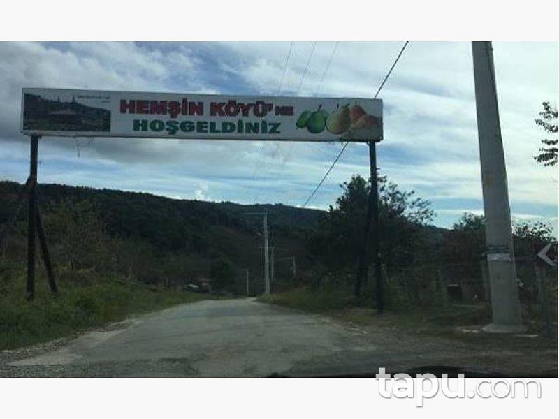 Düzce Akçakoca Hemşin'de 16.449m2 Fındık Bahçesi