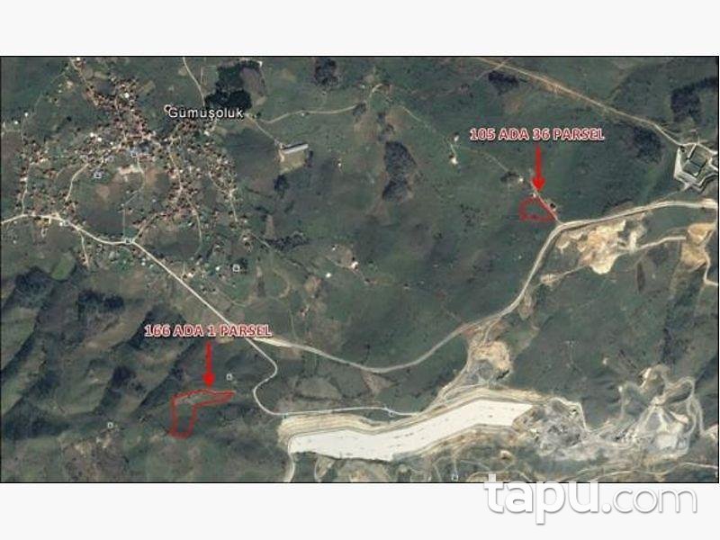 Sakarya Kocaali Gümüşoluk Mahallesi'nde 7733 m2 Fındık Bahçesi