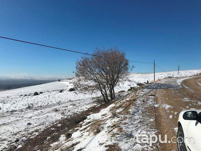 Eskişehir Sivrihisar Dümrek Mahallesinde Hisseli Tarla