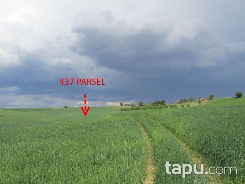 Kırıkkale Balışeyh Beşbıçak Köyünde 27600 m2 Tarla
