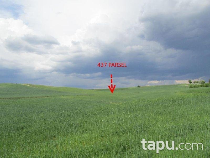 Kırıkkale Balışeyh Beşbıçak Köyünde 27600 m2 Tarla