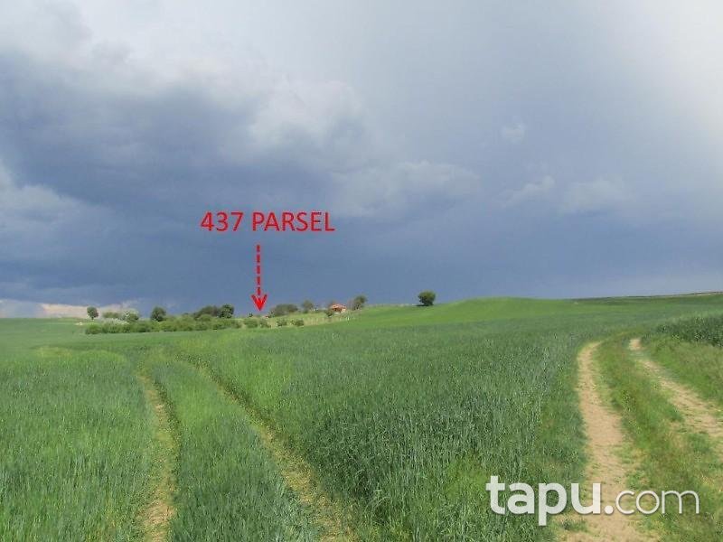 Kırıkkale Balışeyh Beşbıçak Köyünde 27600 m2 Tarla
