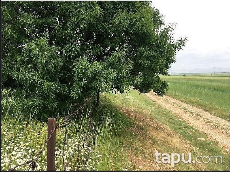 Afyonkarahisar Dinar'da 11.450 m2 Tarla