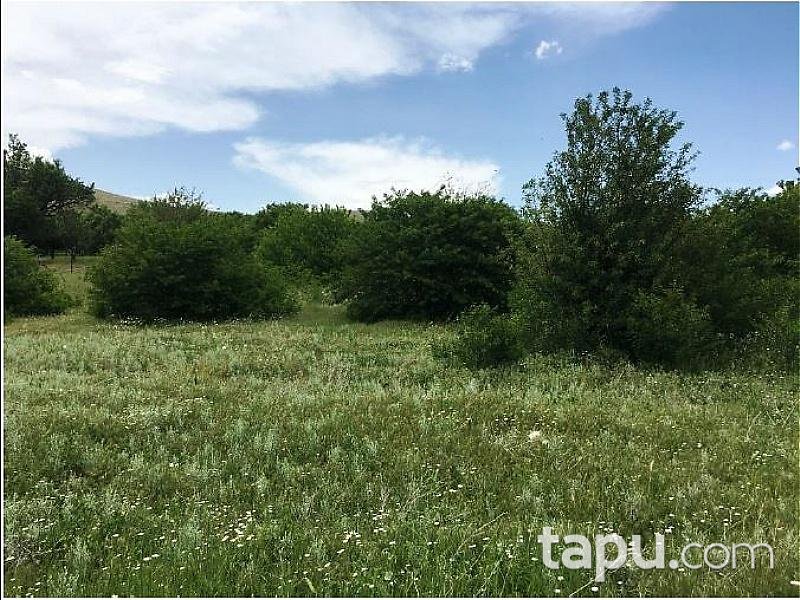 Afyonkarahisar Dinar'da 11.450 m2 Tarla