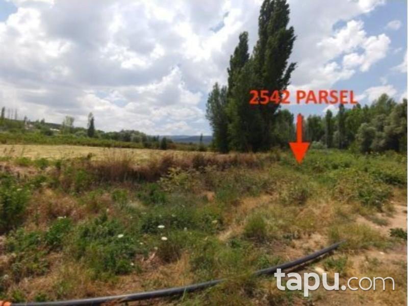 Konya Ilgın Bulcuk Mahallesinde 1.342 m2 Bahçe