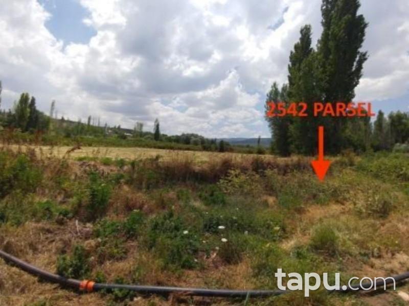 Konya Ilgın Bulcuk Mahallesinde 1.342 m2 Bahçe