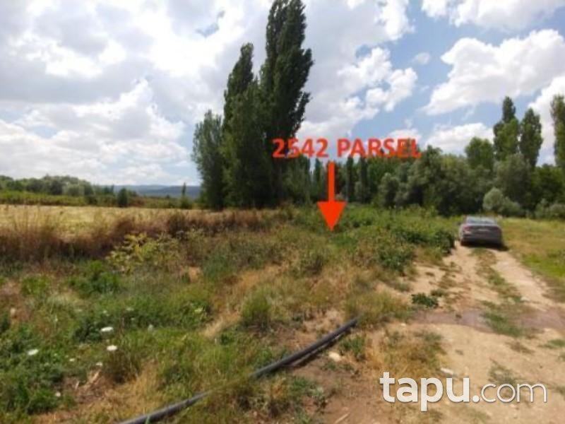 Konya Ilgın Bulcuk Mahallesinde 1.342 m2 Bahçe