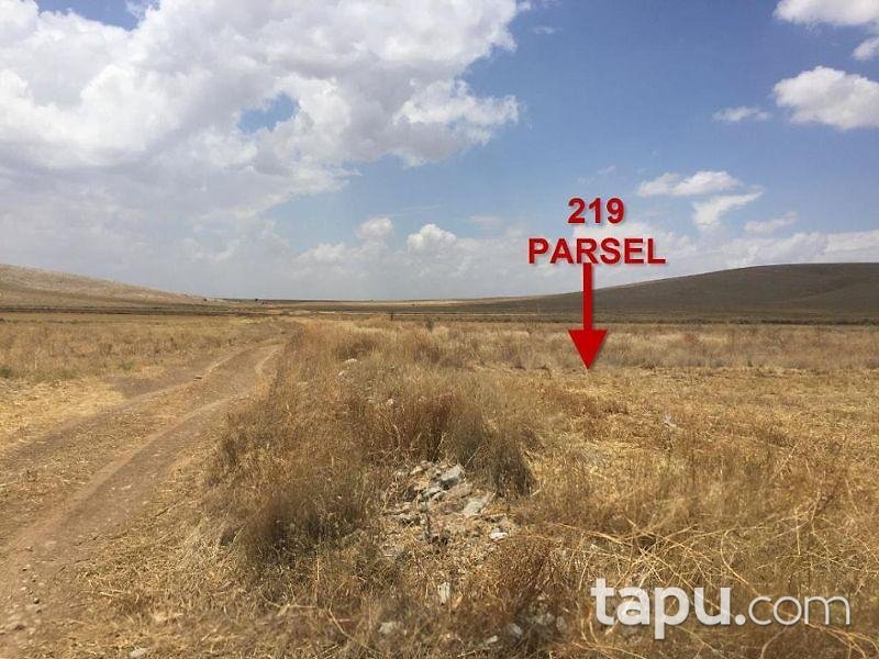 Konya Ilgın Çobankaya Mahallesinde 5.961 m2 Tarla