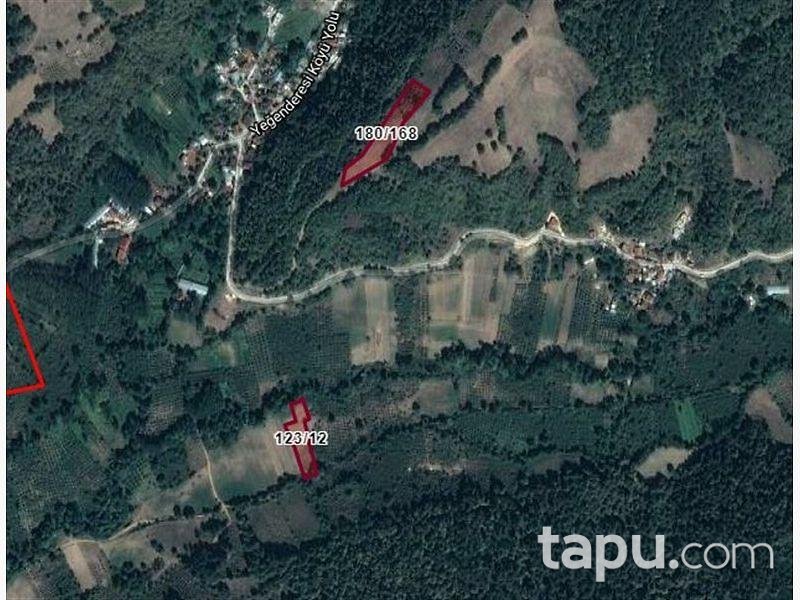Bolu Mudurnu Taşkesti Yeğenderesi Köyünde 2.455 m2 Tarla