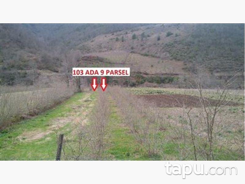 Samsun Çarşamba Konukluk Mahallesinde 1.043 m2 Tarla