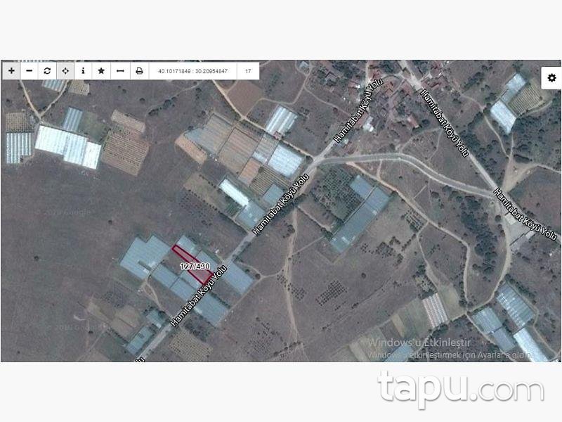 Bilecik Söğüt Hamitabat Köyünde 1170 m2 Sera