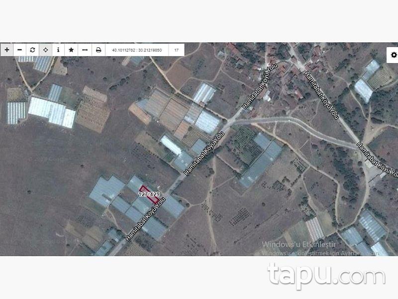 Bilecik Söğüt Hamitabat Köyünde 510 m2 Sera