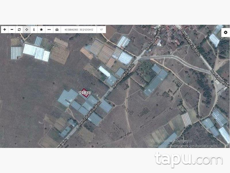 Bilecik Söğüt Hamitabat Köyünde 570 m2 Sera
