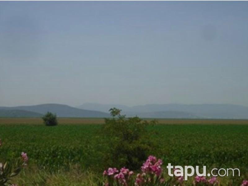 İzmir Torbalı Pancar Mahallesinde Hisseli 18.227 m2 Tarla