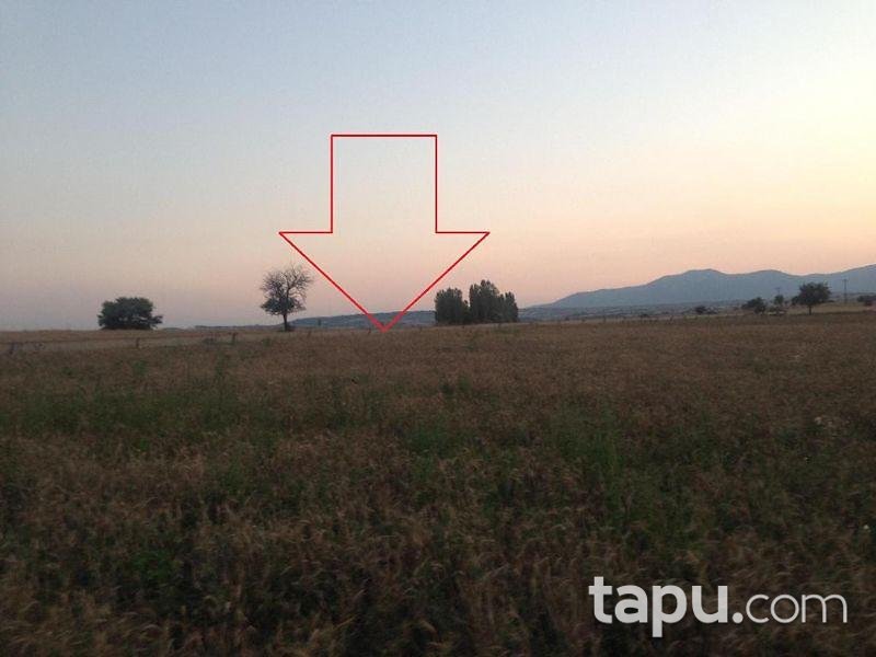 Kütahya Çavdarhisar Yukarı Mahallesi'nde 8.052 m2 Tarla