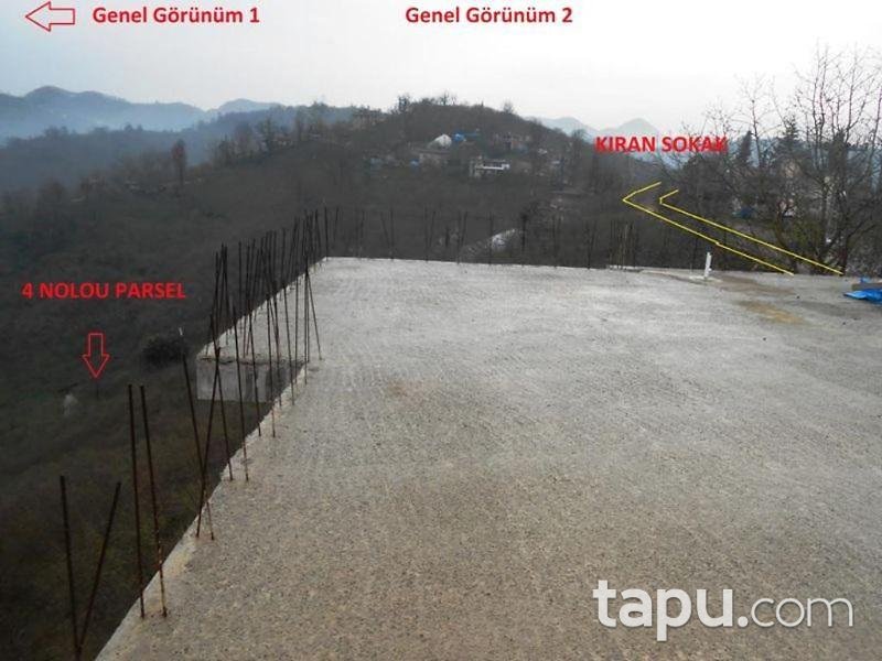Ordu Ünye Yazkonağı Mahallesi'nde 1232 m2 Fındık Bahçesi