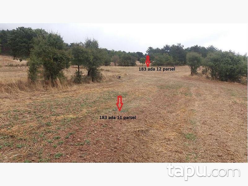 Bolu Göynük Ceylanlı Köyünde 4.527 m2 Tarla