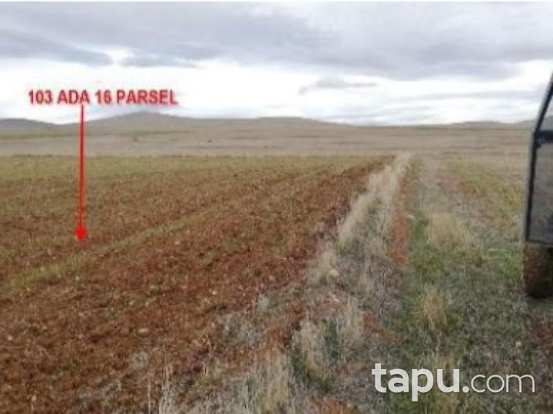 Konya Ilgın Dere Mahallesinde 3 Adet 57 Dönüm Tarla
