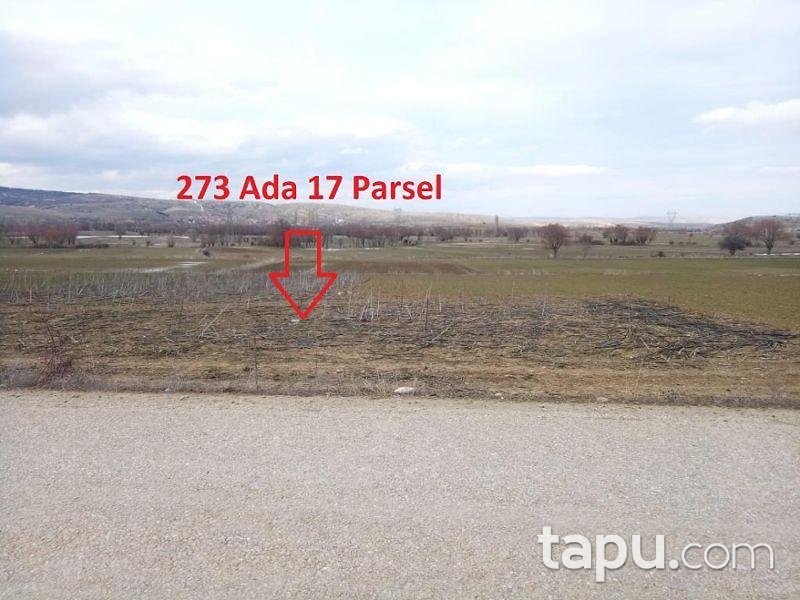 Afyonkarahisar Sinanpaşa Güney Aşağı Mahallesinde 2.348 m2 Tarla