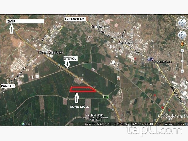 İzmir Torbalı Pancar Mahallesinde Hisseli 18.227 m2 Tarla