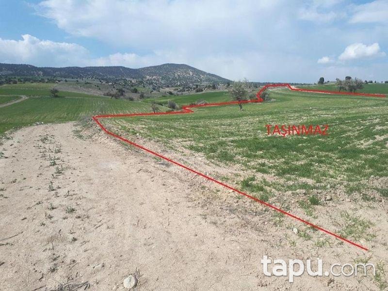 Burdur Merkez Kozluca Köyünde 15600 m2 Tarla