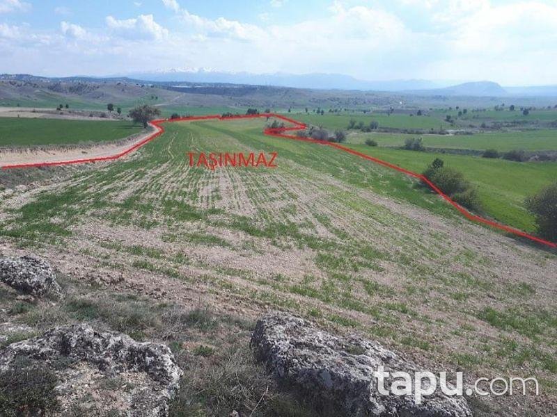Burdur Merkez Kozluca Köyünde 15600 m2 Tarla