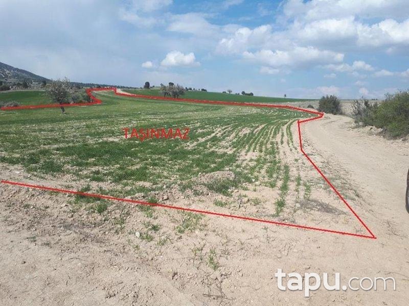 Burdur Merkez Kozluca Köyünde 15600 m2 Tarla