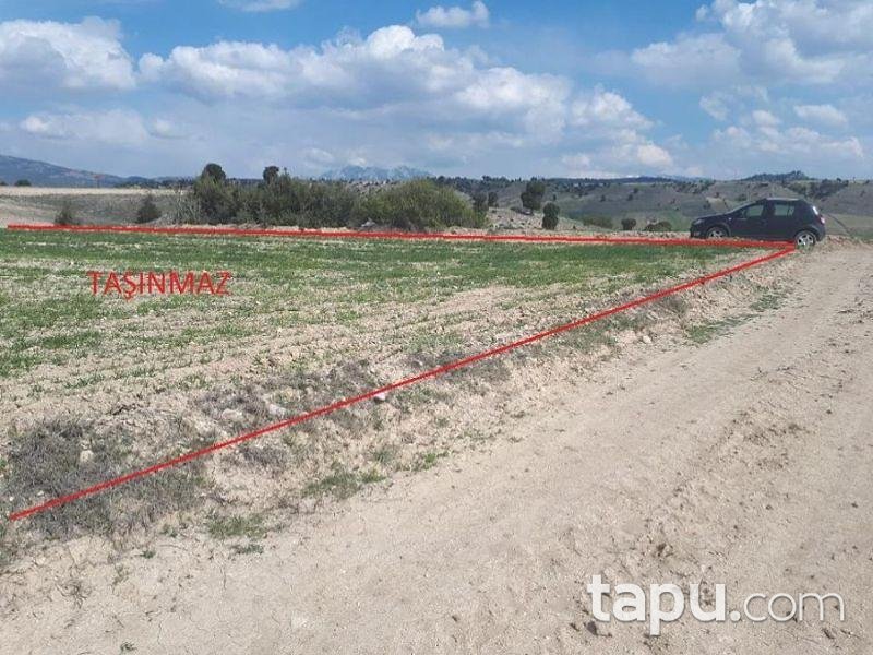Burdur Merkez Kozluca Köyünde 15600 m2 Tarla