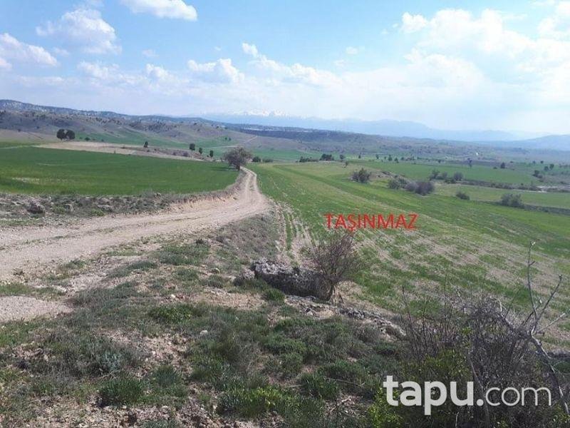 Burdur Merkez Kozluca Köyünde 15600 m2 Tarla